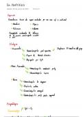 Apuntes de Sindrome nefritico en pediatria. Definiciones, diagnóstico y tratamiento.