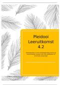 Pleidooien leeruitkomst 4.1 en 4.2