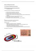 Summary of Prokaryotic and Eukaryotic Cells - AQA A Level Biology 