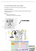 Summary Notes on Osmoregulation - AQA A Level Biology 