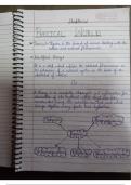 Physics class11 notes,