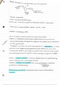 Summary notes- unit 4, types of mRNA and proteinsynthesis