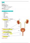 NUR 453 - Exam 2 Study Guide.