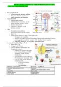 EXAM 2 NERVOUS SYSTEM, INFLAMMATION, INFECTION, CANCER, STRESS RESPONSE