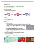 Pathologie Cardiovasculaire pathologie Aantekeningen