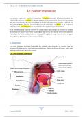 UE 2.2. S1 : Le système respiratoire 