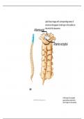 Module 6 assignment