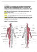 Musculoskeletal System