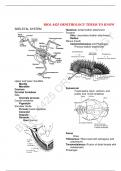 BIOL 4425 ORNITHOLOGY TERMS TO KNOW