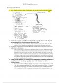 BIO353: Exam 2 Short Answers Module 11: Actin Filaments