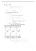 Module 2 Notes