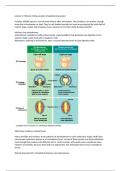 Phylum Mollusca