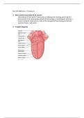 BIOL 235/BIOL235 Midterm 1 (Version A) - Study Guide: Human Anatomy and Physiology: Athabasca University