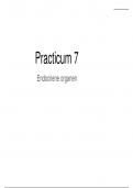 Practicum 7: endocriene organen