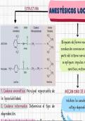 Apuntes Medicina 