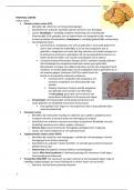 Summary Neuropsychologie (BWB313, NL)