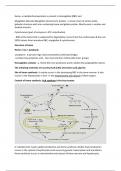 Medicine MBBS Year 2 BIOCHEMSITRY Of HEMATOLOGY System Notes