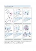 Gentechnologie I: Uitleg sequeneringstechnieken 