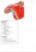 Topografie - anatomie 