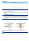 NR 302 Week 6-Edapt-Respiratory System.