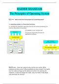 HAIDER SHAHZAIB The Principles of Operating System 