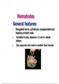 Nematodes