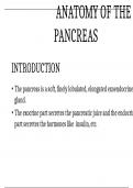 ANATOMY OF THE PANCREASE