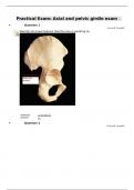 Practical_Exam_Axial_and_pelvic_girdle_exam.