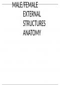 ANATOMY OF THE REPRODUCTIVE SYSTEM