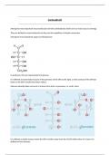 Summary -  Organic chemestry