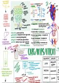 Biology Module 2 — Organisation 