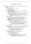 A&P - The Cell Nucleus, DNA, and Cell Division