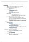 A&P - Membrane Potential and Action Potential