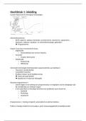 samenvatting grondslagen van de beleidsinformatica - basis programmeren gedeelte TEW/HIR 