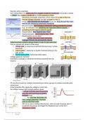 8. Action potentials 