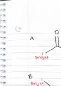 Conjugation in Alkadienes and Allylic Systems