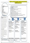 NUR 2421C CASE STUDY MATERNITY NURSING CARE CONCEPT MAP & COMPREHENSIVE NCP  CSU