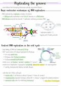 GEN 6: Replicating the Genome