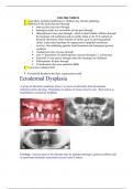 Feb-2006-Ndbe-Ii-Exam-Questions-.doc