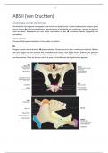 Osteologie ABS II