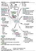 preconception nutrition_conditions and intervention