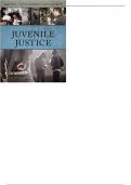 Juvenile Justice 6th Edition by K„ren M. Hess - Test Bank