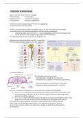 Fysiologie periode 1 samenvatting 