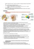 Technische verpleegkunde periode 2.3 dag 2, neurologie