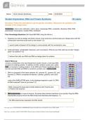 RNA & Protein Synthesis Student Worksheet - Tenzin Sonam Samkhang