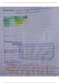 Biology notes