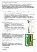 Samenvatting ABS1 - osteologie - zeer uitgebreid incl tekeningen!