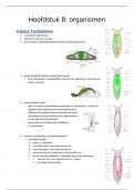 Hoofdstuk 8 - plathyhelmintes (voorbeelden en systematiek) 