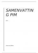 Samenvatting PIM S3.1