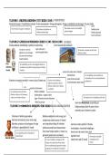 Overzicht kenmerkende aspecten - verbandenschema incl. samenvatting 